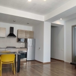 1 bedroom apartment for rent in Vake 2 1