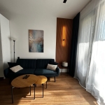 1 bedroom apartment for rent on Lisi 1
