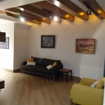 1 bedroom apartment for rent on Mtatsminda 2 3