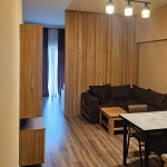 1 bedroom apartment for rent on Saburtalo 1 3