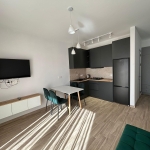 1 bedroom apartment for rent on Saburtalo 1 4