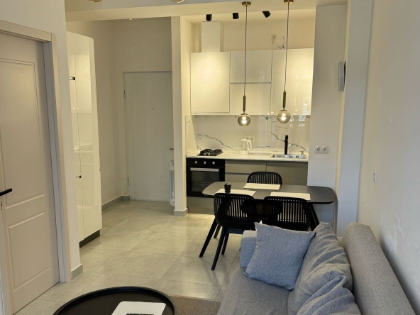 آپارتمان يک اتاق خواب براي اجاره در سابورتالو 10 1 bedroom apartment for rent on Saburtalo 2 9