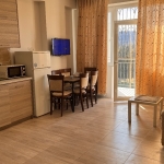 2 bedroom apartment for rent in Didi Dighomi 5 1