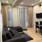 2 bedroom apartment for rent in Didi Dighomi 8