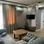 2 bedroom apartment for rent in Nadzaladevi 3