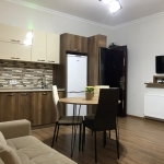 2 bedroom apartment for rent in Varketili 2