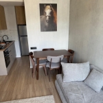 2 bedroom apartment for rent on Saburtalo 2 5