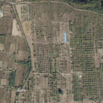 Agricultural 500 m2 land for sale in Zakaro