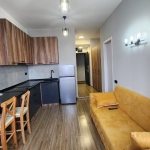 one bedroom apartment for rent in Vashlijvari 2