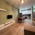 1 Bedroom apartment for rent on Saburtalo 1 6
