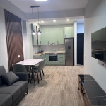 1 bedroom apartment for rent in Didi Digomi 1 1