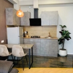 1 bedroom apartment for rent on Saburtalo 1 3
