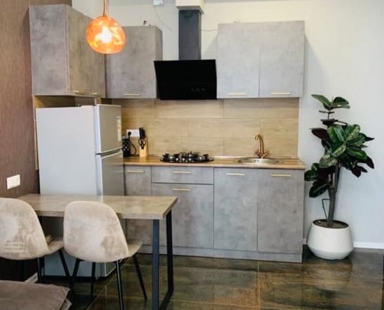 آپارتمان يک اتاق خواب براي اجاره در سابورتالو 20 1 bedroom apartment for rent on Saburtalo 1 3