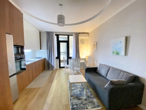 1 Bedroom apartment for rent in Vake 1