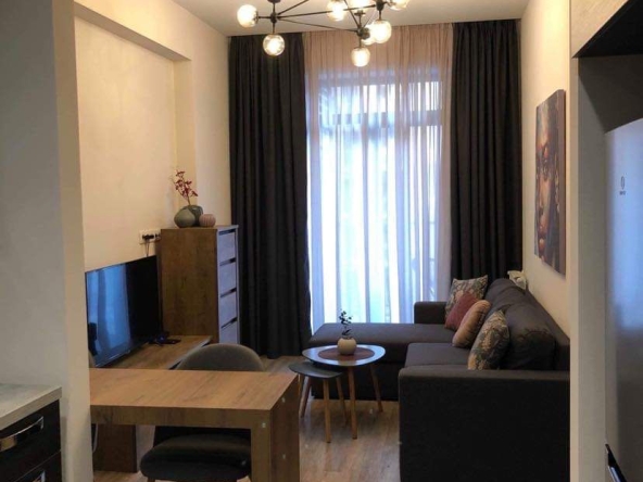 آپارتمان يک اتاق خواب براي اجاره در سابورتالو 14 1 Bedroom apartment for rent on Saburtalo 1 2