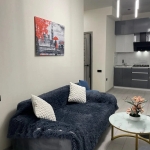 1 bedroom apartment for rent in Isani 3 2