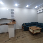 1 bedroom apartment for rent on Saburtalo 3 7