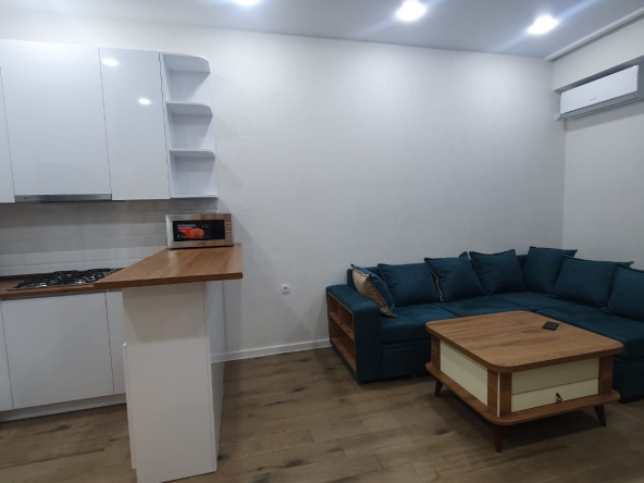 ქირავდება 1 ოთახიანი ბინა საბურთალოზე 12 1 bedroom apartment for rent on Saburtalo 3 7