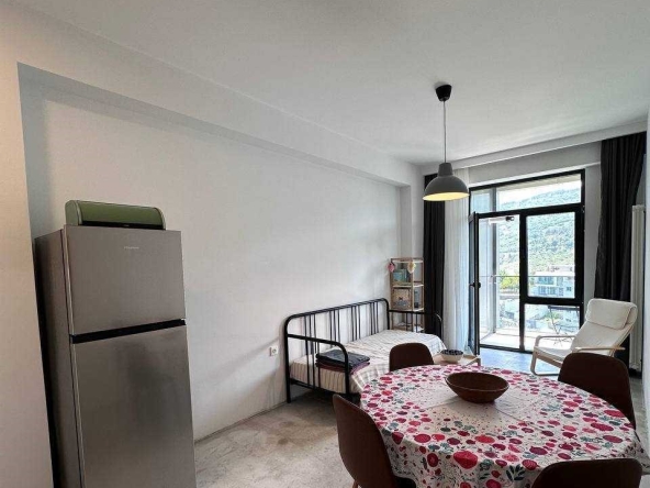 آپارتمان يک اتاق خواب براي اجاره در سابورتالو 8 1 bedroom apartment for rent on Saburtalo 5