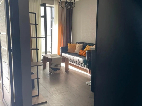 آپارتمان يک اتاق خواب براي فروش در سابورتالو 10 1 bedroom apartment for sale on Saburtalo 1 8